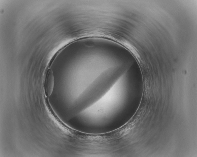 X0000086941142200704231351