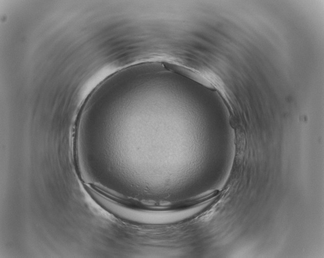 X0000086941151200704231351