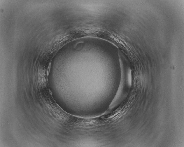 X0000086941156200704231350
