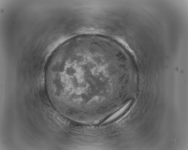 X0000086941167200704231350