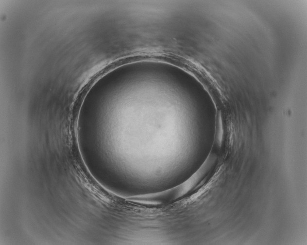 X0000086941168200704231350