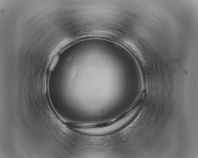 X0000086941180200704231350