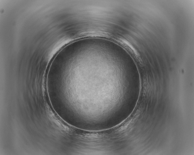 X0000086941182200704231350