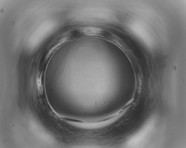 X0000086941198200704231350
