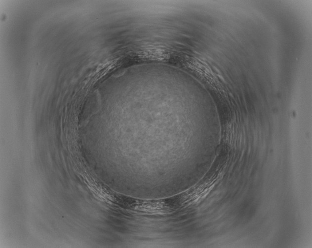 X0000086941201200704231349
