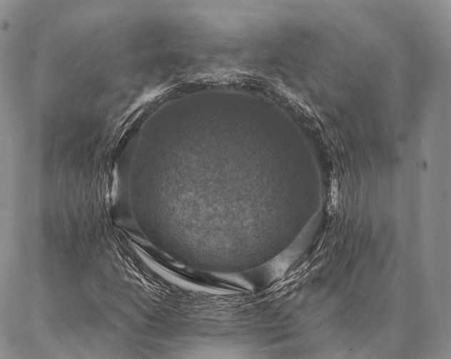 X0000086941206200704231349