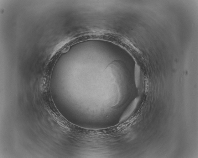 X0000086941208200704231349