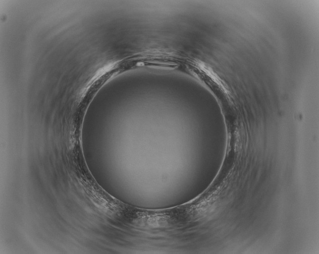 X0000086941213200704231349