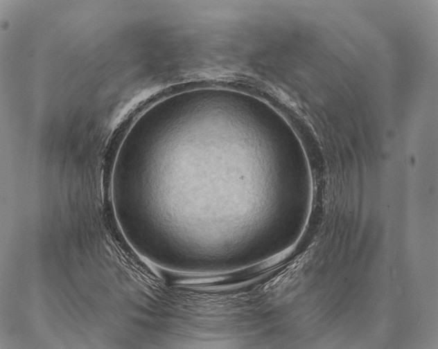 X0000086941214200704231349