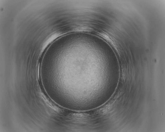 X0000086941227200704231349
