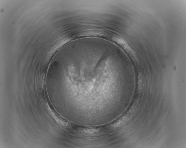 X0000086941233200704231349