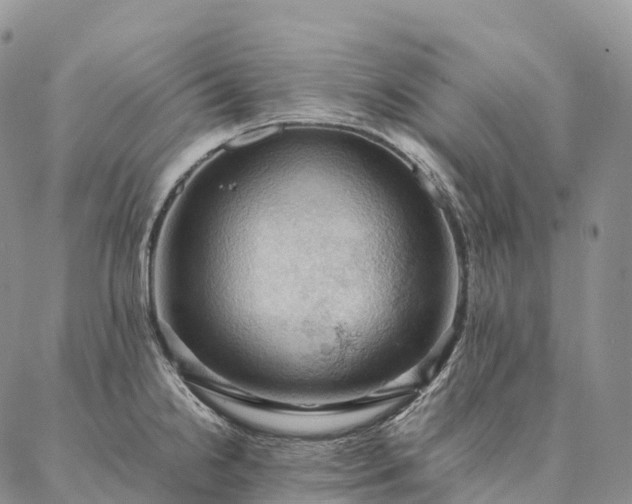 X0000086941238200704231349