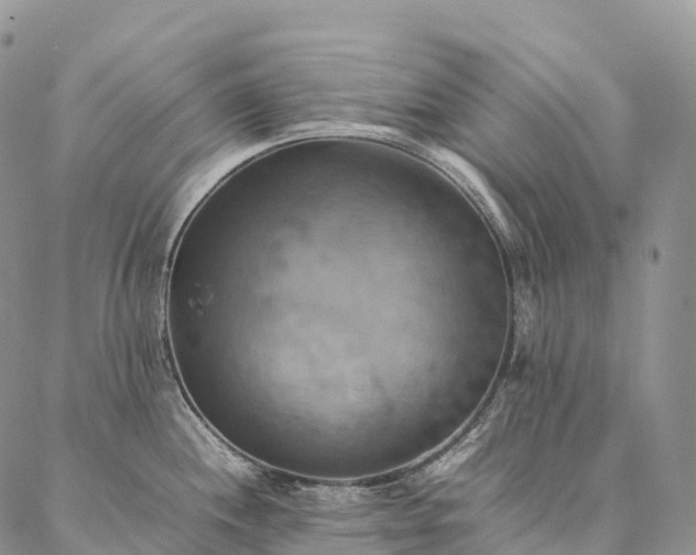 X0000086941244200704231349