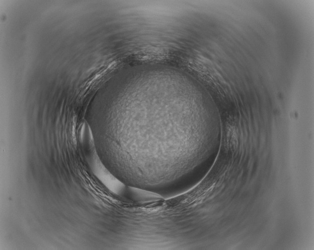 X0000086941250200704231349