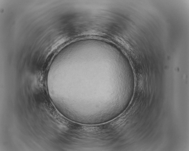 X0000086941258200704231349