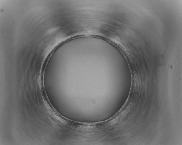 X0000086941278200704231348
