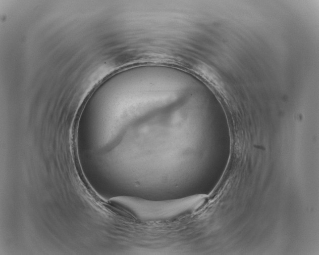 X0000086941283200704231348