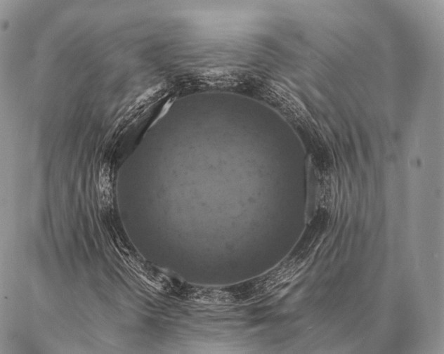 X0000086941298200704231347