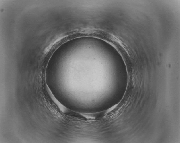X0000086941304200704231347
