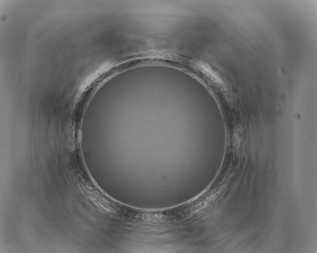 X0000086941310200704231347