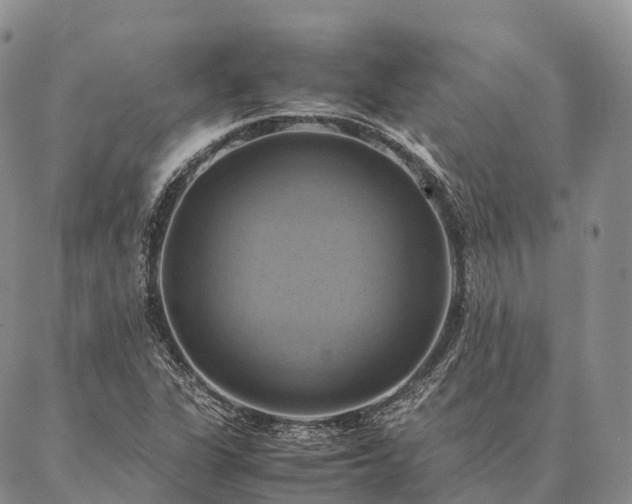 X0000086941311200704231347