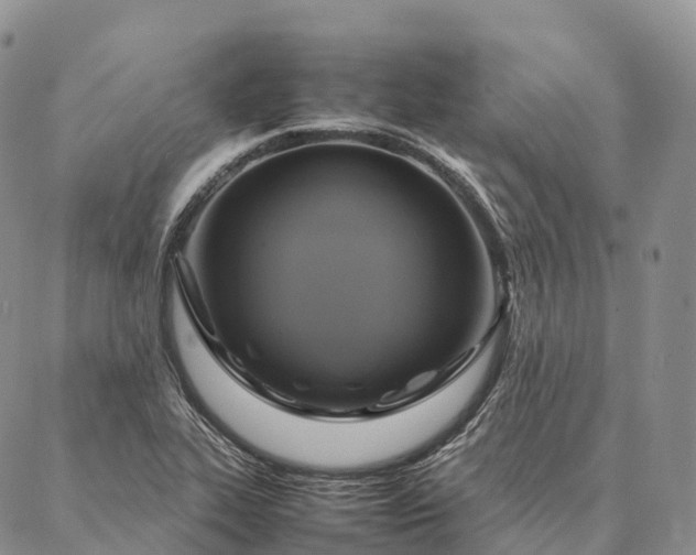X0000086941319200704231348