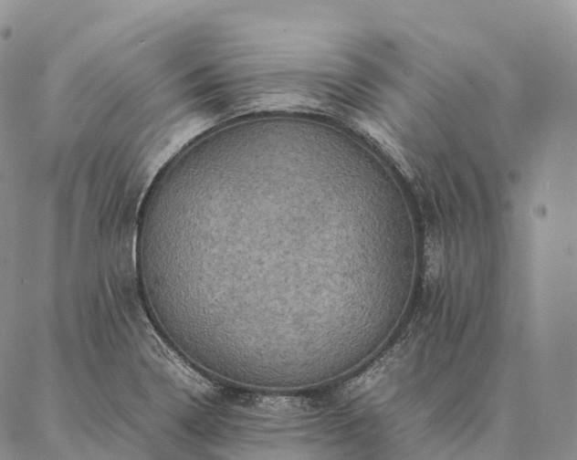 X0000086941322200704231348