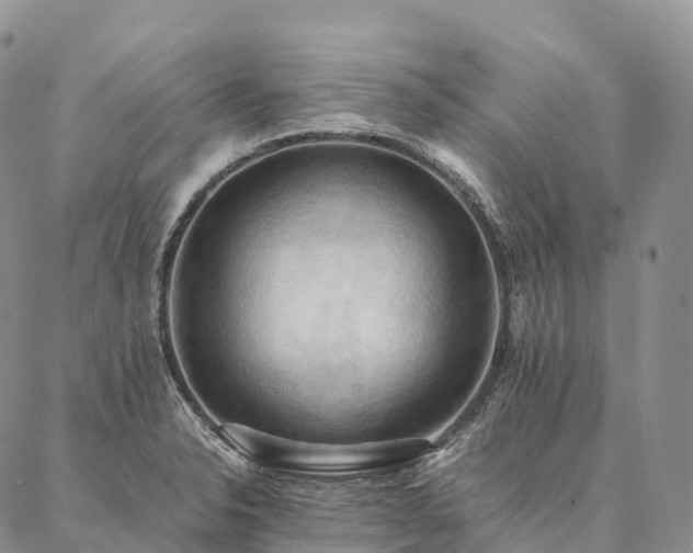 X0000086941326200704231348