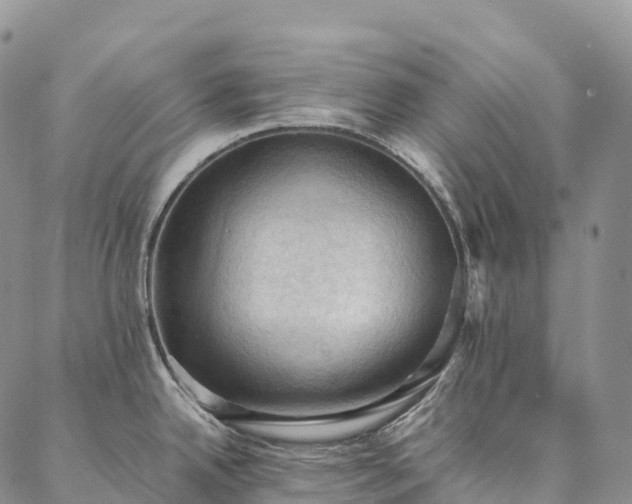 X0000086941342200704231348