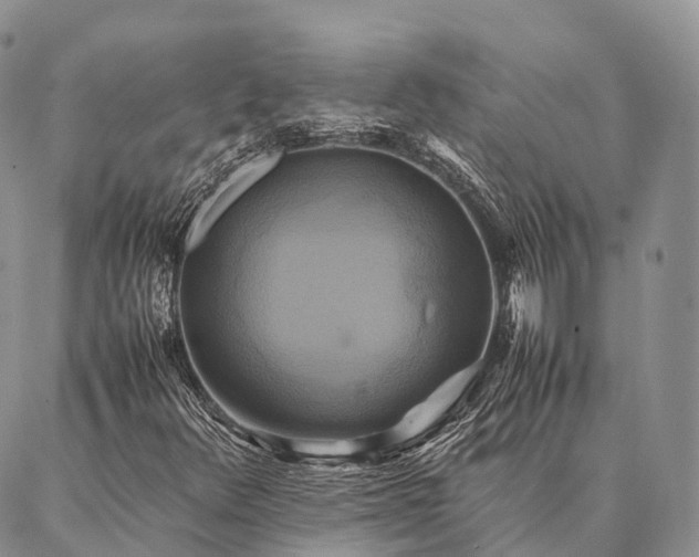 X0000086941348200704231347