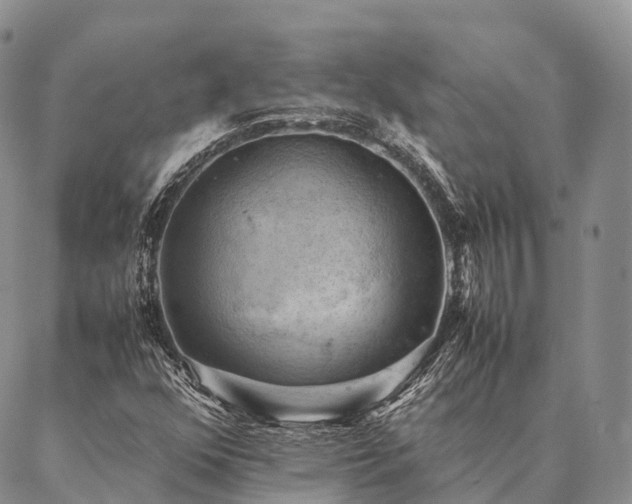 X0000086941352200704231347
