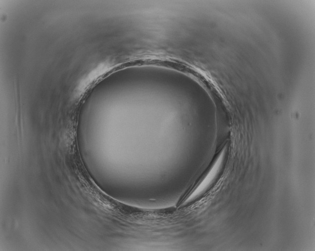 X0000086941359200704231347