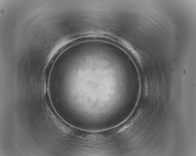 X0000086941368200704231347