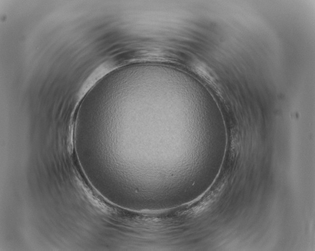 X0000086941370200704231347