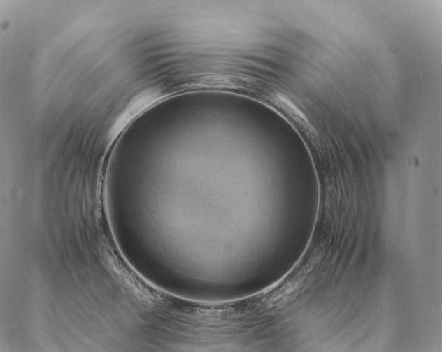 X0000086941378200704231347