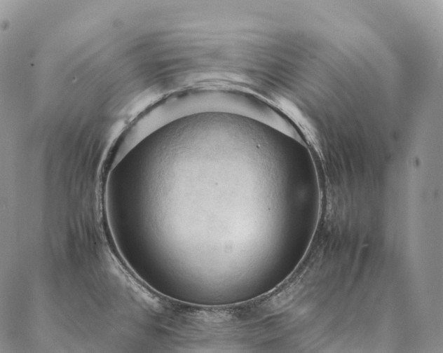 X0000086941384200704231347