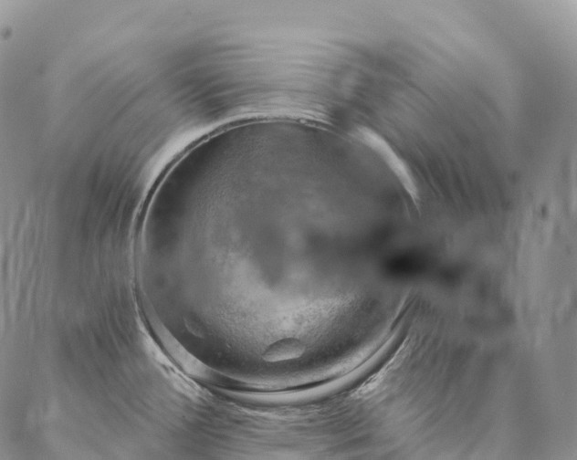X0000086941388200704231346