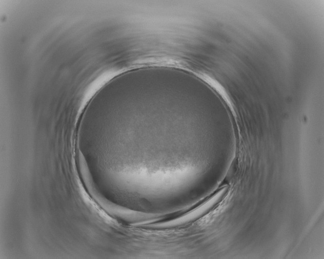 X0000086941389200704231346