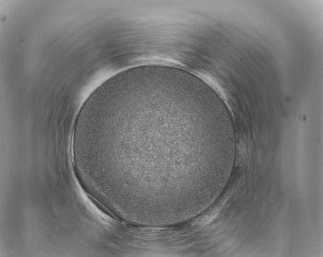 X0000086941391200704231346