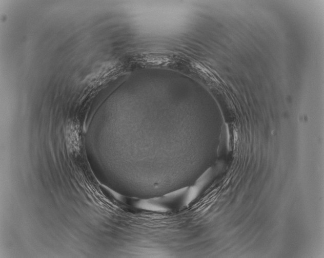 X0000086941394200704231346