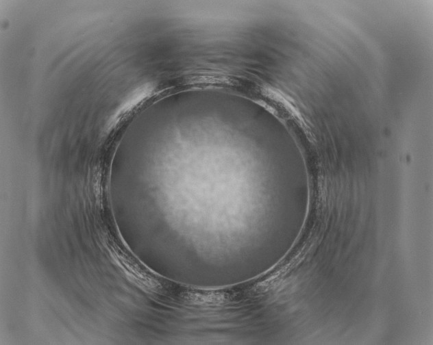 X0000086941403200704231346