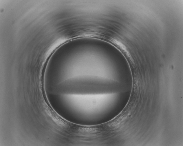 X0000086941427200704231346