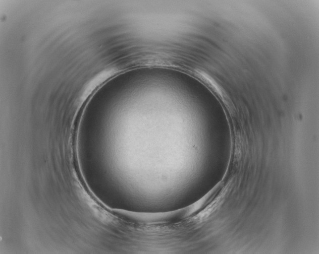 X0000086941434200704231346