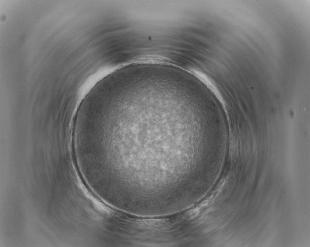 X0000086941437200704231346