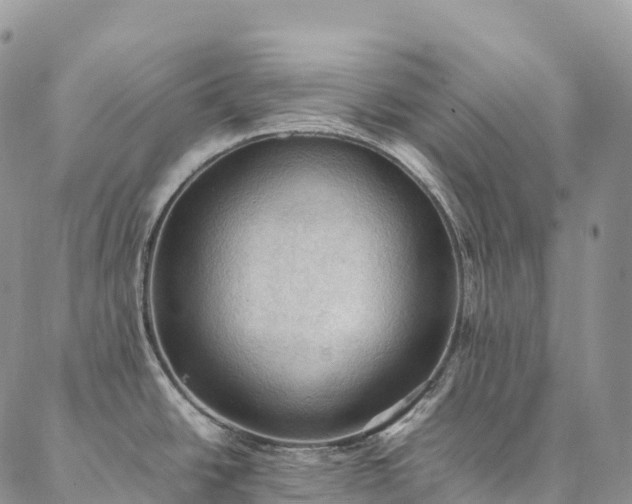 X0000086941438200704231346
