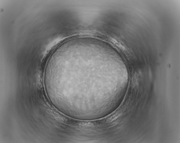 X0000086941454200704231345