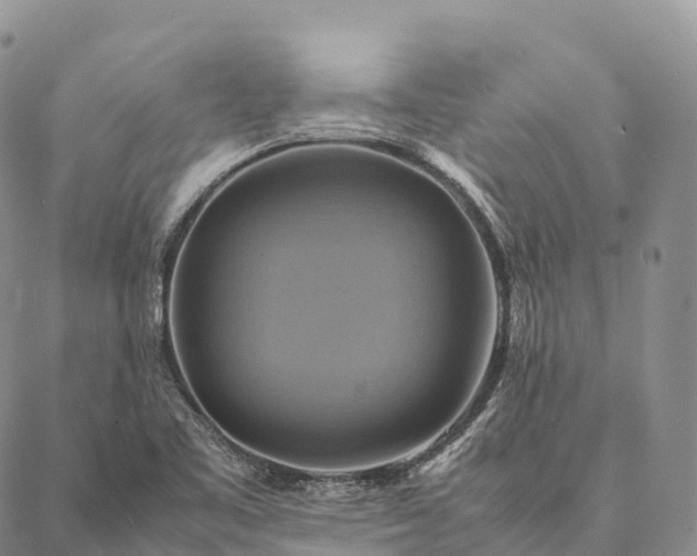 X0000086941461200704231345