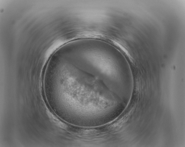 X0000086941471200704231345