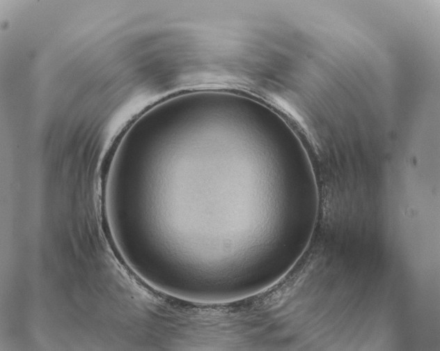 X0000086941472200704231345