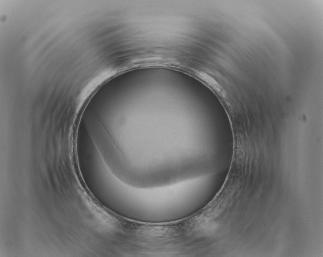 X0000086941474200704231345